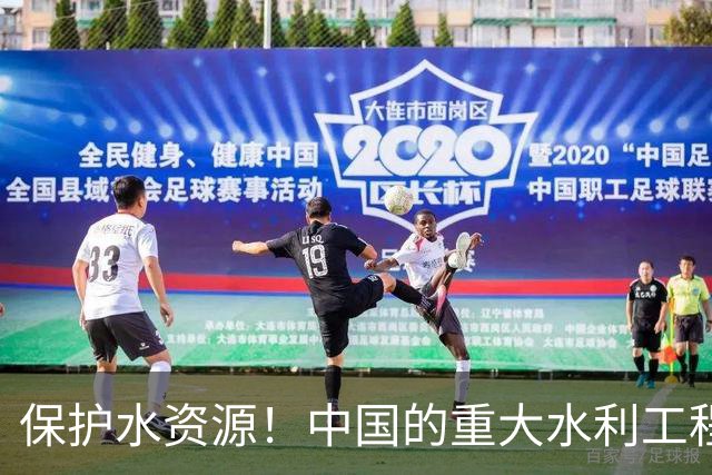 保护水资源！中国的重大水利工程助力西北振兴